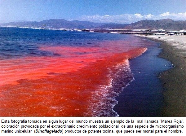 marea roja1